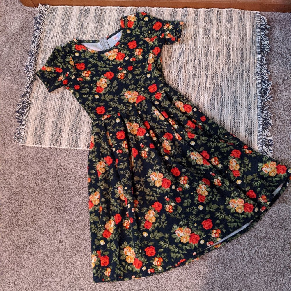 Lularoe Floral Amelia Dress